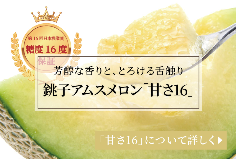 芳醇な甘い香りと、とろける舌触り|銚子産アムスメロンの最高峰「甘さ16」
