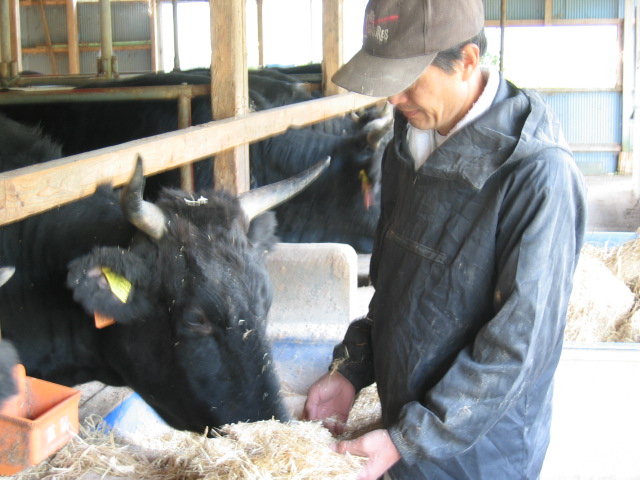 愛情込めて育てられます