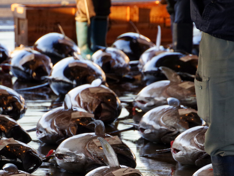 各市場へ振り分け